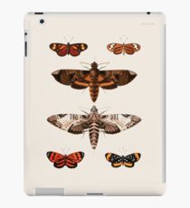 Vintage Moth Chart iPad Case/Skin