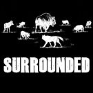 « Entouré » par jafundo