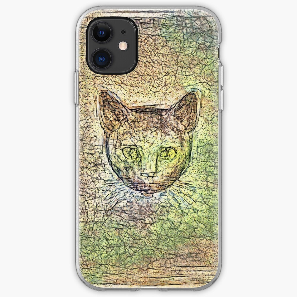 Cat on his way home iPhone Case & Cover