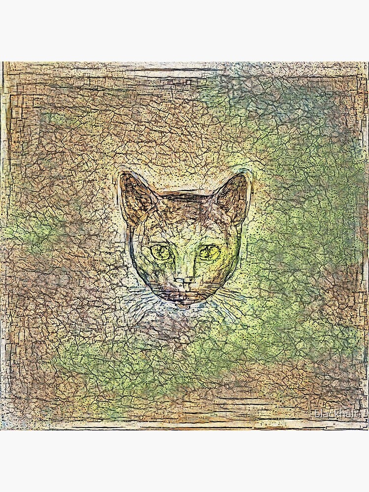 Cat on his way home by blackhalt