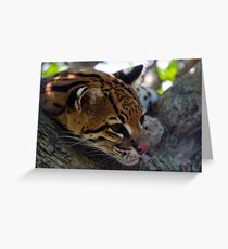 OCELOT Grußkarte