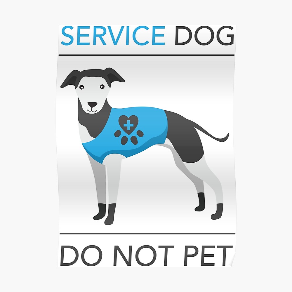 "assistance dogs, service dogs, do not pet, dont pet, guide dog