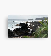 Road to Hana, Maui 2015 Metal Print