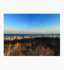 Myrtle Photographic Print