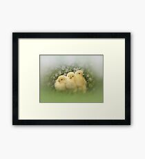 Babies Framed Print