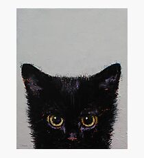 Black Kitten Photographic Print