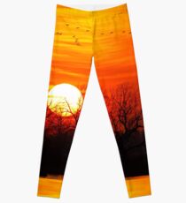 Sandhills Delight Leggings
