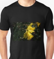 Daffodils announcing spring. Unisex T-Shirt