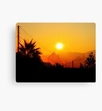 Mango Juice Canvas Print