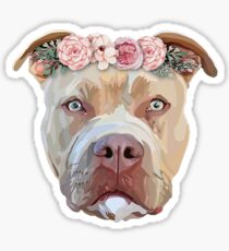 Pretty Pitbull Sticker