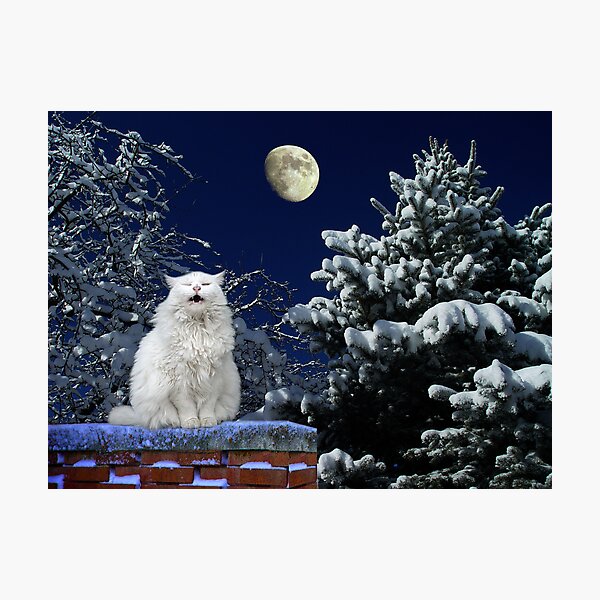 Memory Photographic Print
