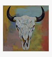 Bison Skull Photographic Print