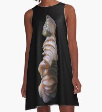 Alabaster Alien A-Linien Kleid