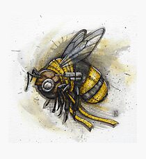 Bumblebee Photographic Print