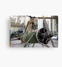 Some Ideas Hardly Get Off The Ground Canvas Print