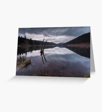 Broken Tree on Derwent Reservoir Greeting Card