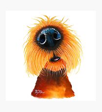 SMELLS LIKE SUNSHINE By Shirley MacArthur Photographic Print