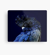 Fibonacci Cockatoo Metal Print