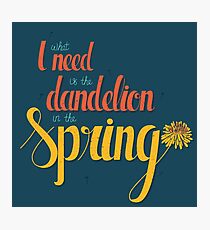 Dandelion in the spring Photographic Print