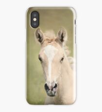 Palomino Colt 6 iPhone Case