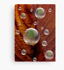 Design Metal Print
