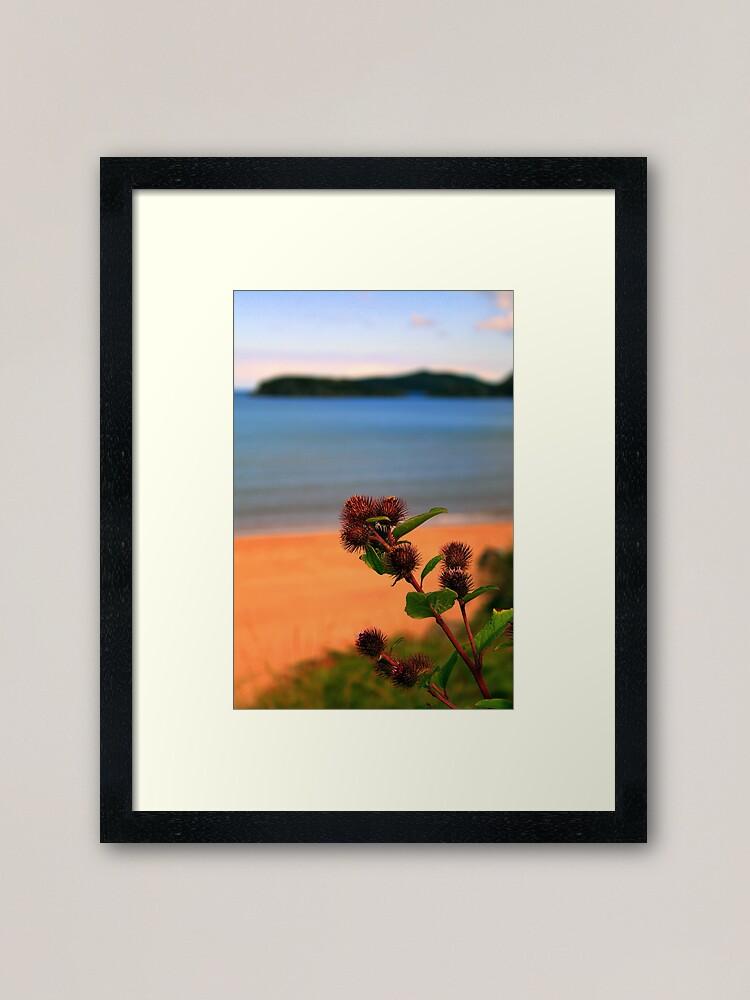 Alternate view of Gruinard Bokeh Framed Art Print
