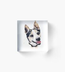 Max Acrylic Block