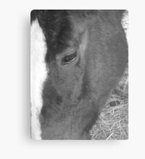Lonely Metal Print