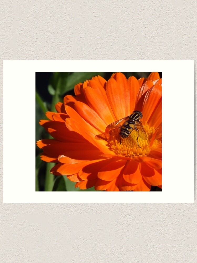 Alternate view of The Bug Art Print