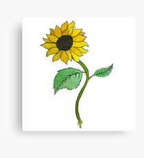 growth Canvas Print