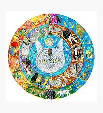 Lámina fotográfica el mandala CAT