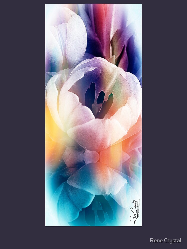 Tulips,Yes! Snow, No! by imagesbycrystal