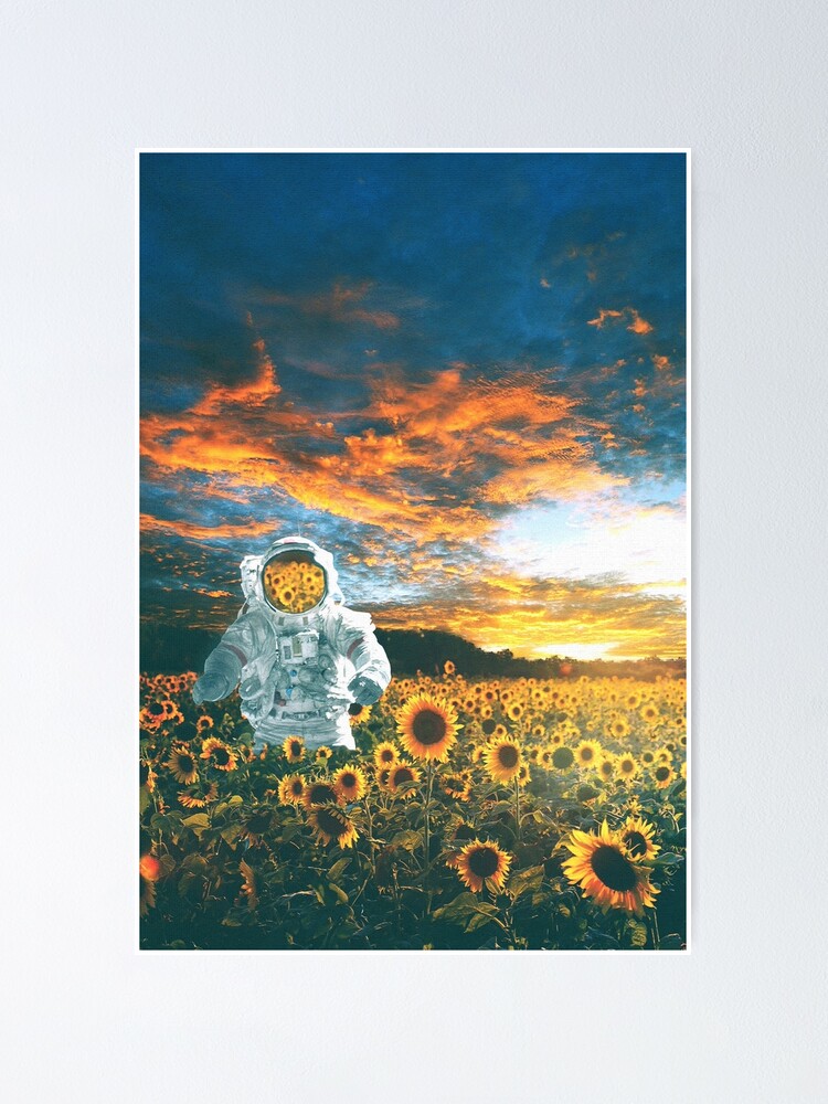 Alternate view of In a galaxy far, far away Poster
