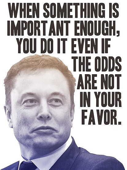Elon Musk by J.T. Owens