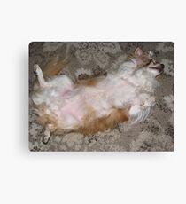 Funny Charlie Canvas Print