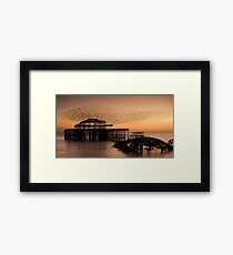Starlings above West Pier Framed Print