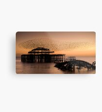 Starlings above West Pier Metal Print