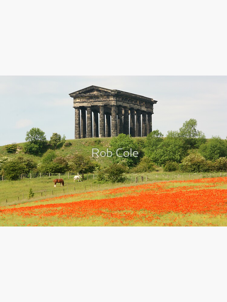 Poppies at Penshaw Monument, County Durham by robcole