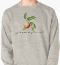 Speak or die? Pullover