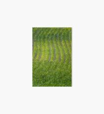 Plantation. Art Board