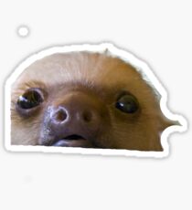 Sloth Sticker
