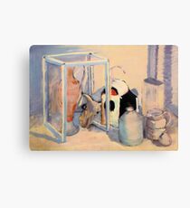 Sunlight, Shadows and Skull Canvas Print