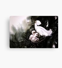The Snowy Egret Family Canvas Print