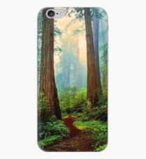REDWOOD FOREST iPhone Case