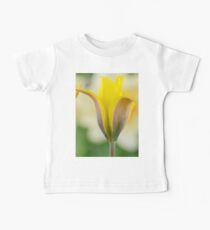 Tulipa kolpakowskiana AGM Kolpakowsky's tulip Miscellaneous tulip Baby Tee