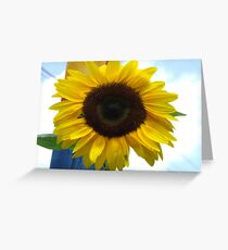 Sunflower Greeting Card