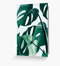 Monstera #redbubble #artprints Greeting Card