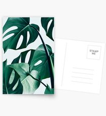 Monstera #redbubble #artprints Postcards