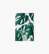 Monstera #redbubble #artprints Art Board