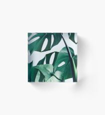 Monstera #redbubble #artprints Acrylic Block